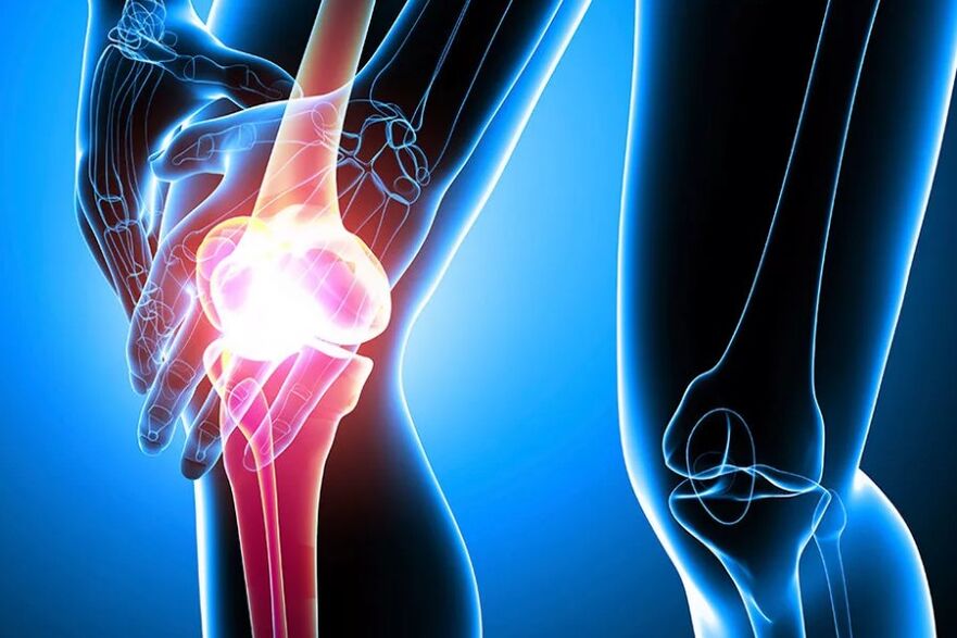 Articulación de la rodilla