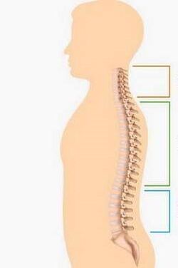 Lesiones de osteocondrosis en diferentes partes de la columna vertebral